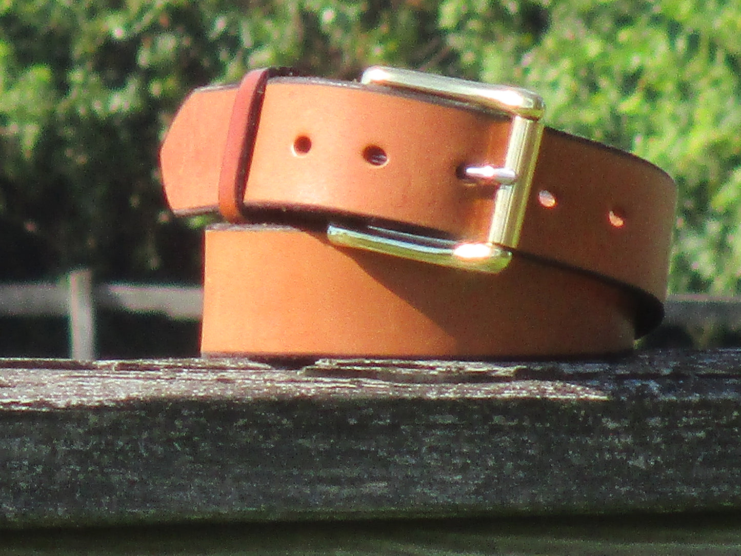 Golden Brown leather belt made from English Bridle Leather, with Solid Brass buckle on a wooden surface with a blurred green background