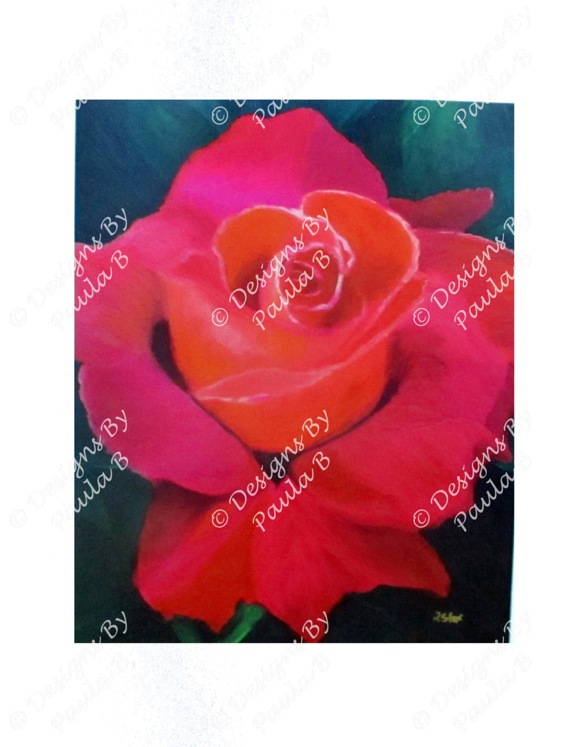 Colorful rose painting on a white background