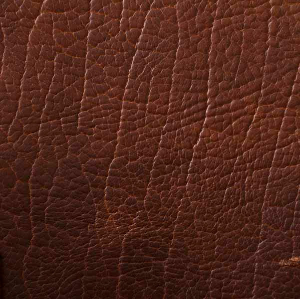 North American Bison Brown Leather Belt